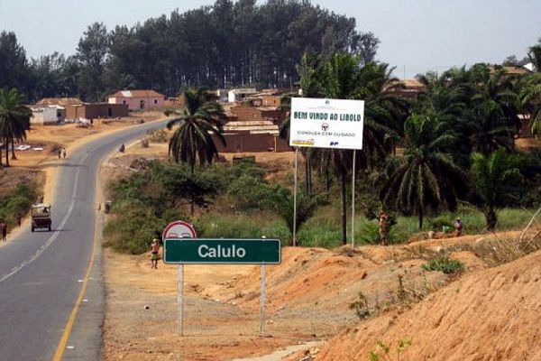 01 CalluloActual